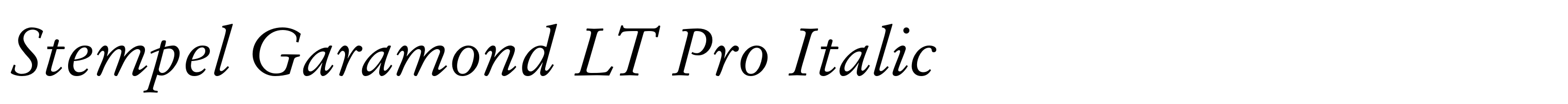 Stempel Garamond LT Pro Italic